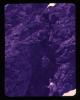 Alpine_032-Thumbnail Image.jpg
