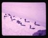 Alpine_056-Thumbnail Image.jpg