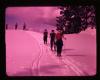 Alpine_066-Thumbnail Image.jpg