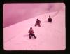 Alpine_069-Thumbnail Image.jpg
