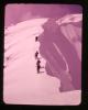 Alpine_070-Thumbnail Image.jpg