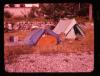 Alpine_084-Thumbnail Image.jpg