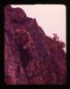 Alpine_095-Thumbnail Image.jpg