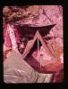 Alpine_097-Thumbnail Image.jpg