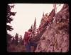 Alpine_127-Thumbnail Image.jpg