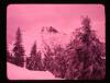 Alpine_133-Thumbnail Image.jpg