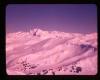Alpine_135-Thumbnail Image.jpg