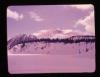 Alpine_136-Thumbnail Image.jpg