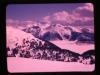 Alpine_138-Thumbnail Image.jpg