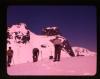 Alpine_147-Thumbnail Image.jpg