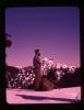 Alpine_149-Thumbnail Image.jpg