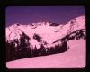 Alpine_150-Thumbnail Image.jpg