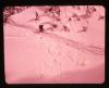 Alpine_184-Thumbnail Image.jpg
