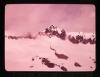 Alpine_187-Thumbnail Image.jpg
