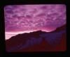 Alpine_196-Thumbnail Image.jpg