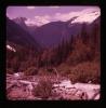 Alpine_199-Thumbnail Image.jpg