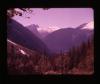 Alpine_200-Thumbnail Image.jpg