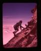 Alpine_203-Thumbnail Image.jpg