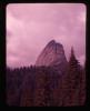 Alpine_216-Thumbnail Image.jpg