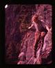 Alpine_218-Thumbnail Image.jpg