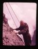 Alpine_219-Thumbnail Image.jpg