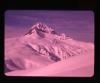 Alpine_233-Thumbnail Image.jpg