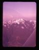 Alpine_237-Thumbnail Image.jpg