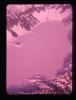Alpine_239-Thumbnail Image.jpg