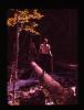 Alpine_241-Thumbnail Image.jpg