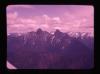 Alpine_244-Thumbnail Image.jpg