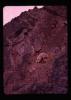 Alpine_245-Thumbnail Image.jpg