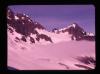 Alpine_246-Thumbnail Image.jpg