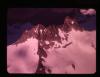 Alpine_256-Thumbnail Image.jpg