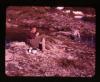 Alpine_262-Thumbnail Image.jpg