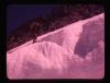 Alpine_265-Thumbnail Image.jpg