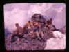 Alpine_289-Thumbnail Image.jpg