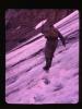 Alpine_291-Thumbnail Image.jpg
