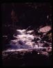 Alpine_321-Thumbnail Image.jpg