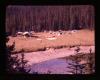 Alpine_325-Thumbnail Image.jpg