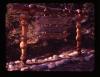 Alpine_326-Thumbnail Image.jpg