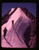 Alpine_331-Thumbnail Image.jpg