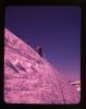 Alpine_332-Thumbnail Image.jpg