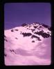 Alpine_337-Thumbnail Image.jpg