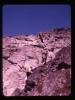 Alpine_351-Thumbnail Image.jpg