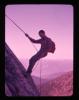 Alpine_370-Thumbnail Image.jpg