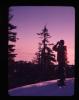 Alpine_371-Thumbnail Image.jpg