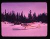 Alpine_375-Thumbnail Image.jpg