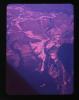 Alpine_378-Thumbnail Image.jpg