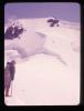Alpine_385-Thumbnail Image.jpg