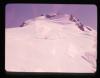 Alpine_386-Thumbnail Image.jpg